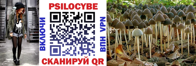 Галлюциногенные грибы Psilocybe хочу Кумертау